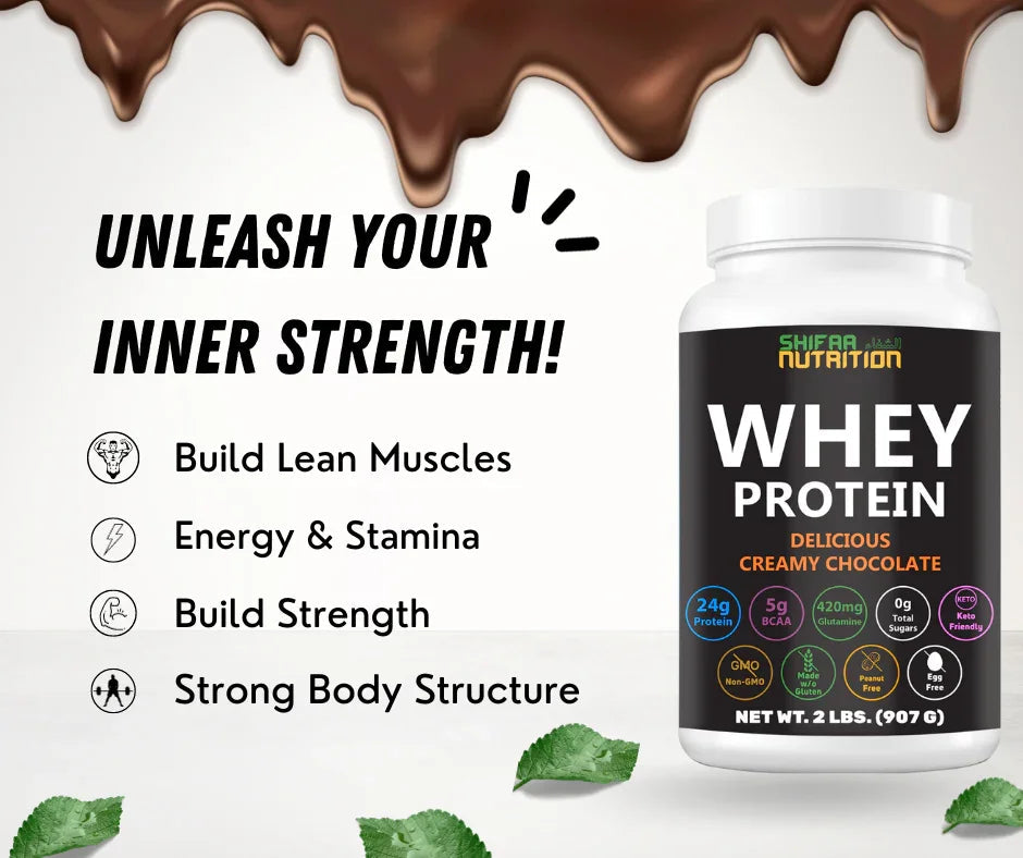 Whey Protein Delicious Creamy Chocolate 2 lbs - SHIFAA NUTRITION