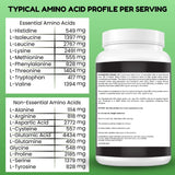 Halal Protein Powder - Vanilla Flavor